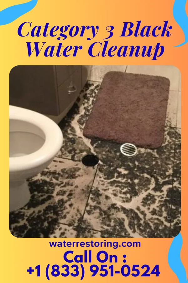 Category 3 Black Water Cleanup in Kermit, WV