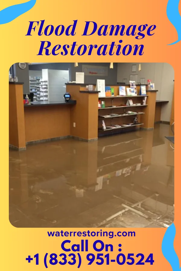 Flood Damage Restoration in Kermit, WV