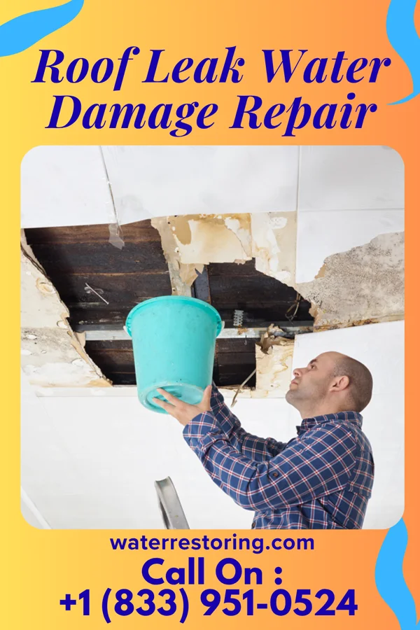 Roof Leak Water Damage Repair in Kermit, WV