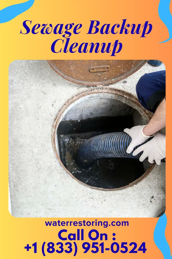 Sewage Backup Cleanup in Kermit, WV