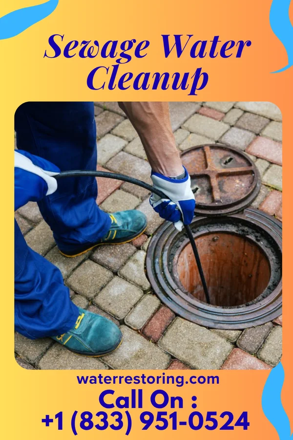 Sewage Water Cleanup in Kermit, WV